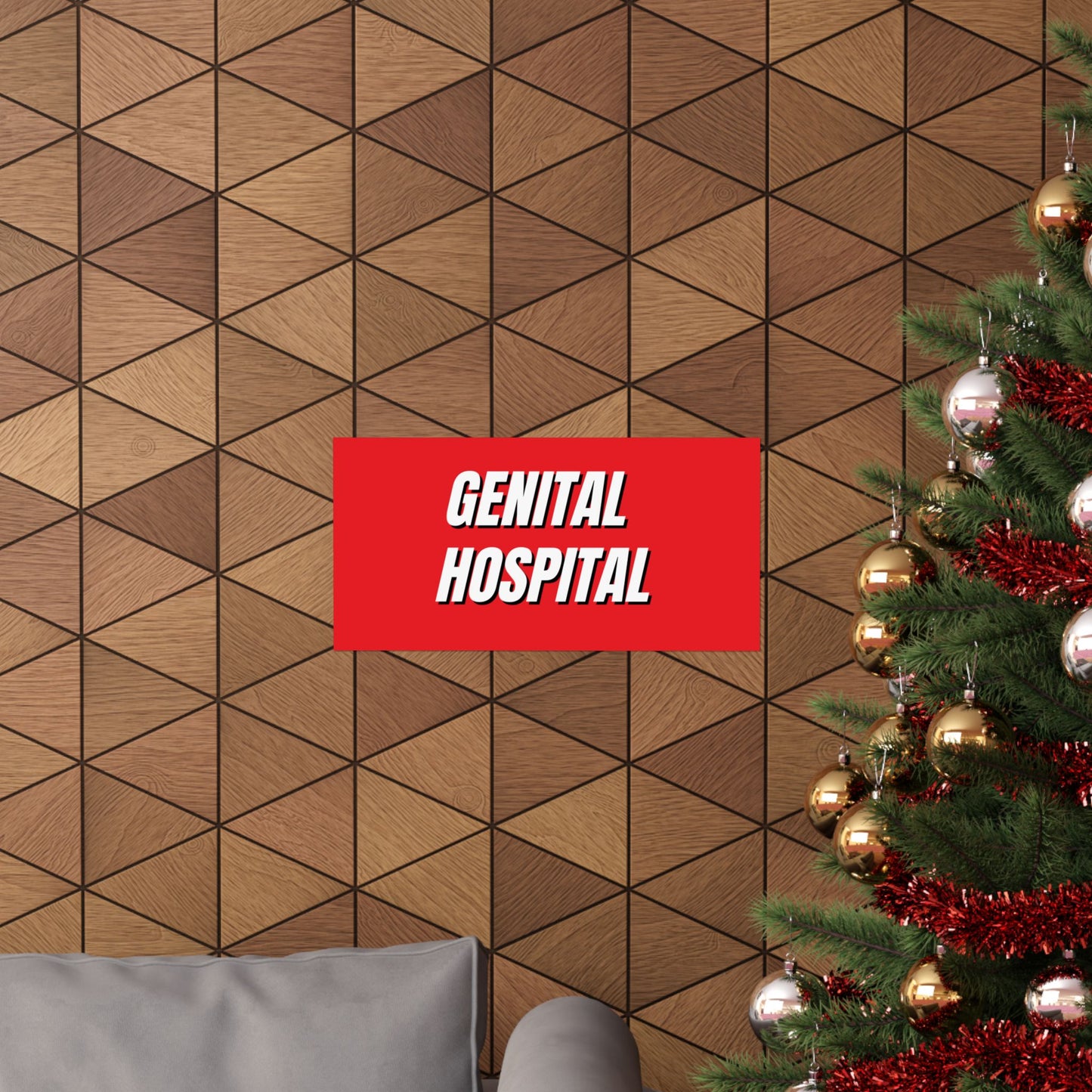 "Genital Hospital" Matte Poster