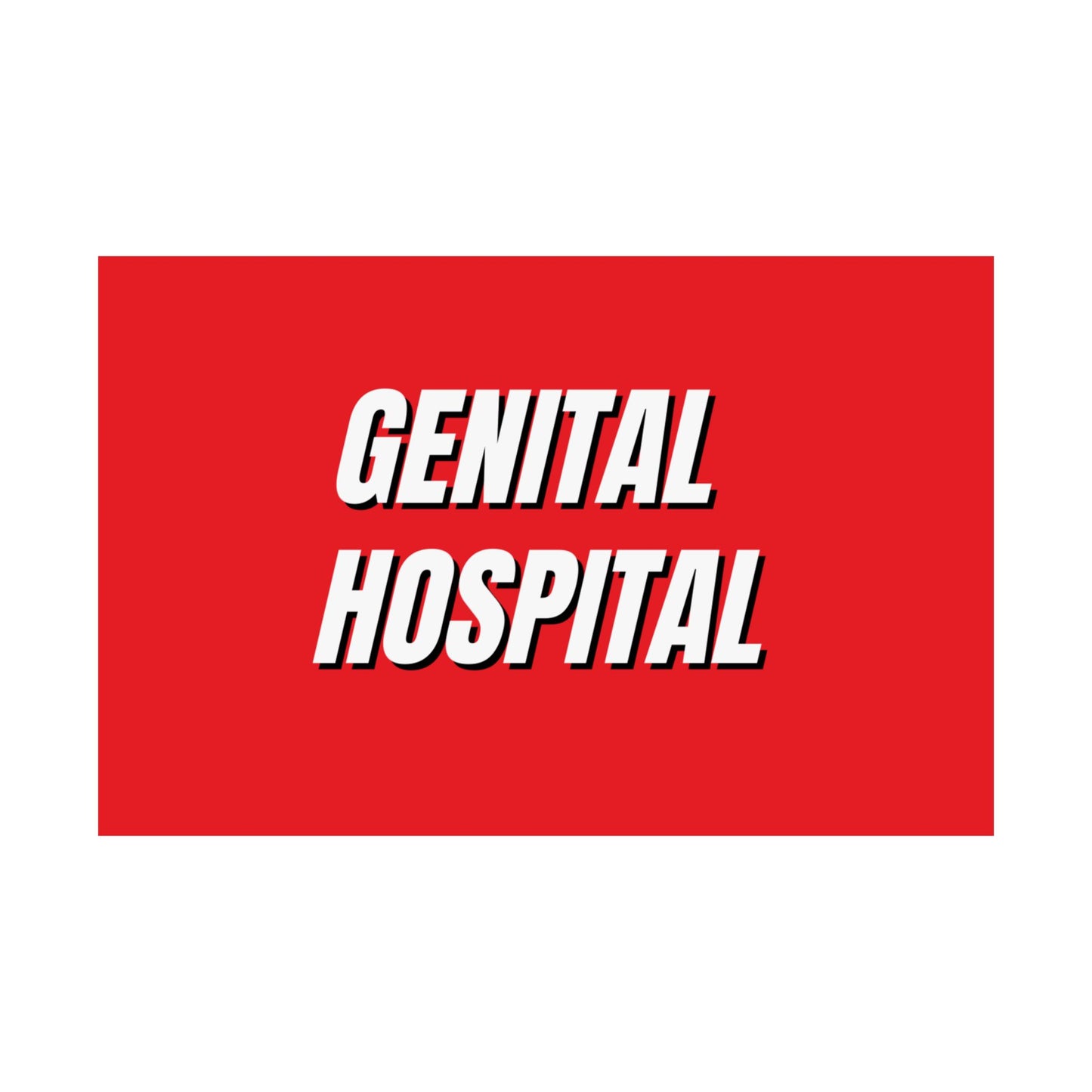 "Genital Hospital" Matte Poster